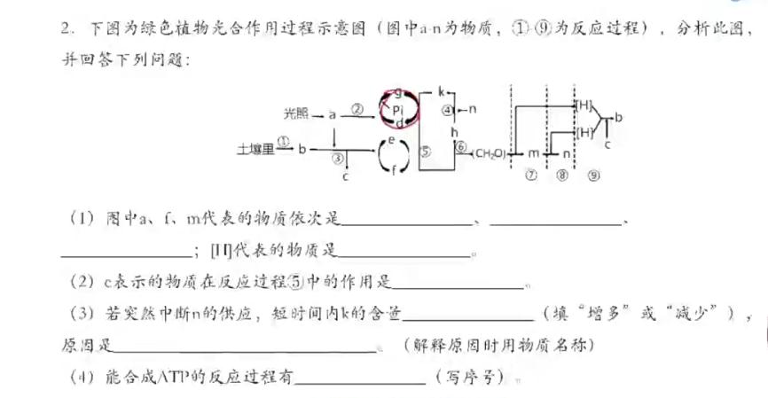 周芳煜2022届高考生物二轮复习寒春联报