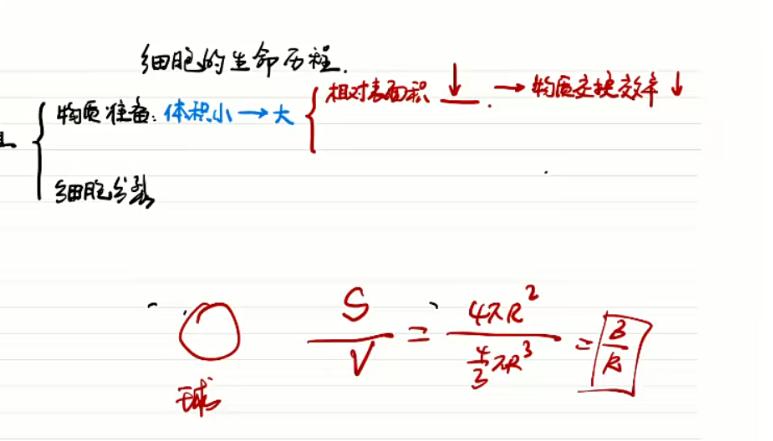 万猛2021高二生物一轮下&秋季班