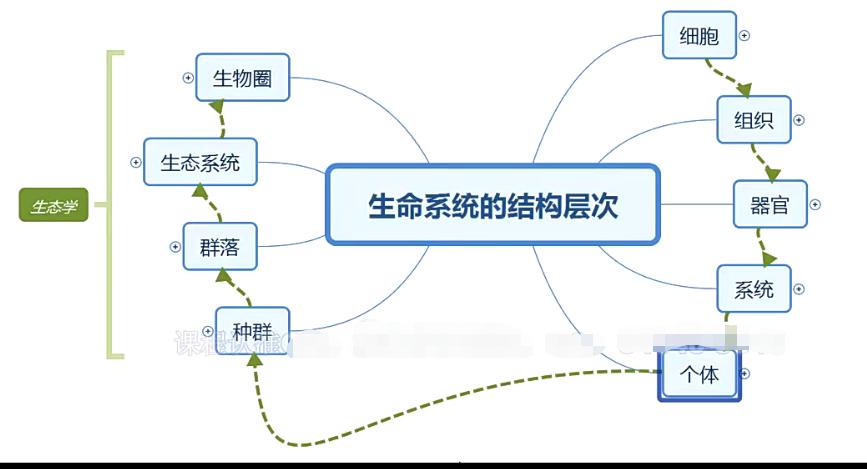 冯博2020年生物全年联报