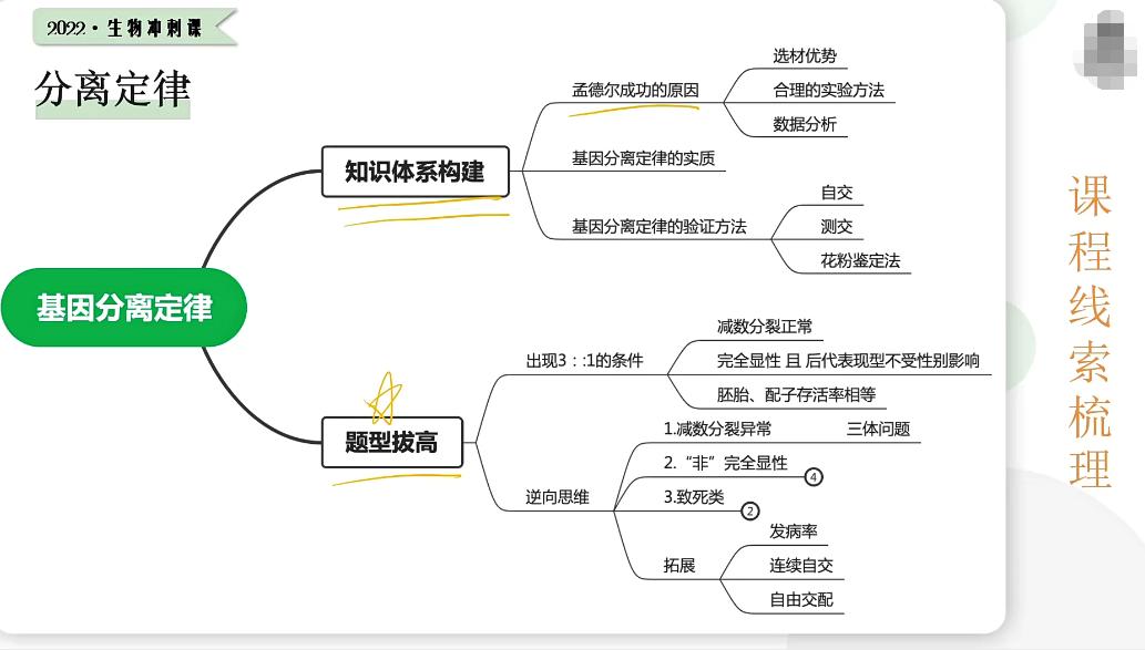 树成林2022高考生物冲刺班30讲完结带课件