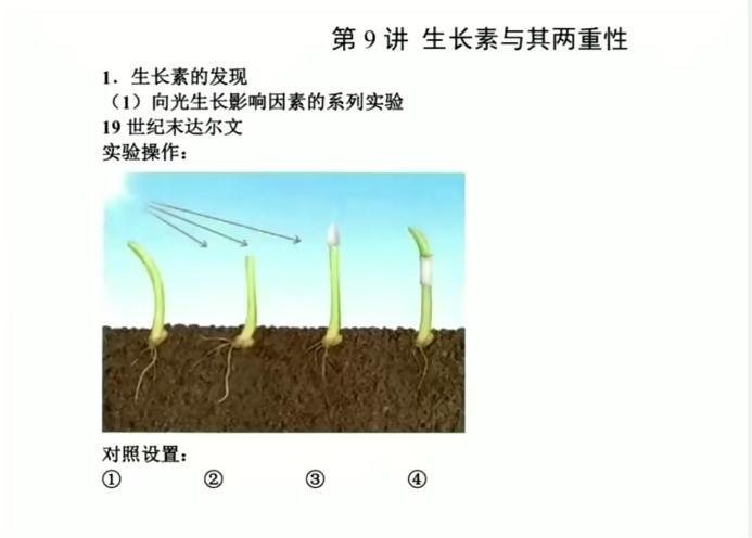 任春磊2023高二生物暑假班秋季班