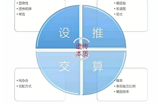 张继光【2022春】高三生物目标A+班完结