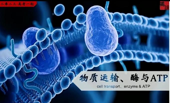 张鹏2023高考生物一轮复习暑假班直播课录播课