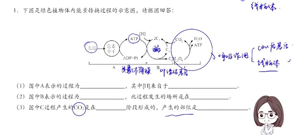 周芳煜2022年高考生物二三轮联报煜姐高考生物