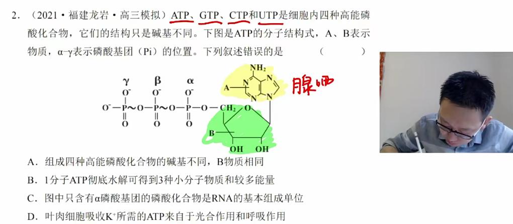 陈旭晨2022高考生物暑假班秋季班