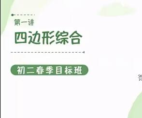 王泽龙【初二数学-2021春】完结