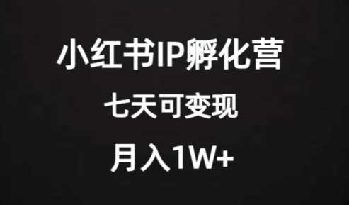 小红书IP孵化营：稳定月入1W+，七天即可开始变现！超级大蓝海等你来探索！