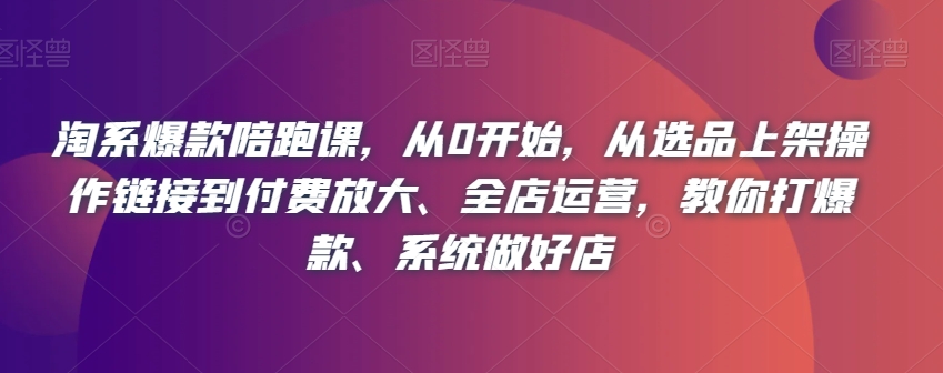 淘系爆款陪跑课：从0开始，从选品到放大、全店运营，教你打爆款、系统做好店！