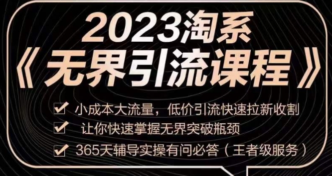 2023淘系无界引流实操课程：小成本大流量，低价引流快速拉新收割！突破市场瓶颈！