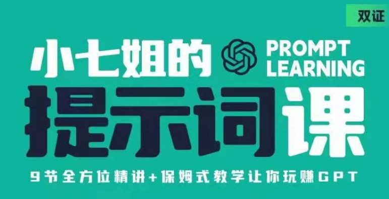 【保姆式教学】小七姐的提示词视频课（双证），玩转GPT全方位教学！