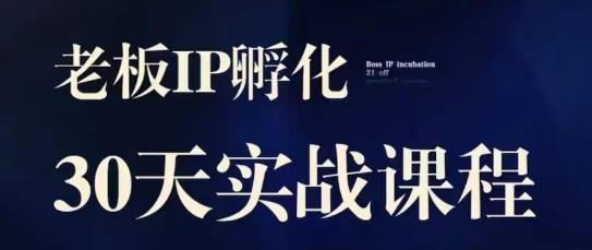 【实战课】诸葛・2023老板IP，实体同城引流获客，IP孵化必听