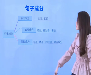 初中英语语法14天高效集训