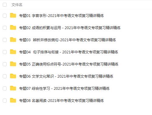 2021年中考语文专项复习精讲精练