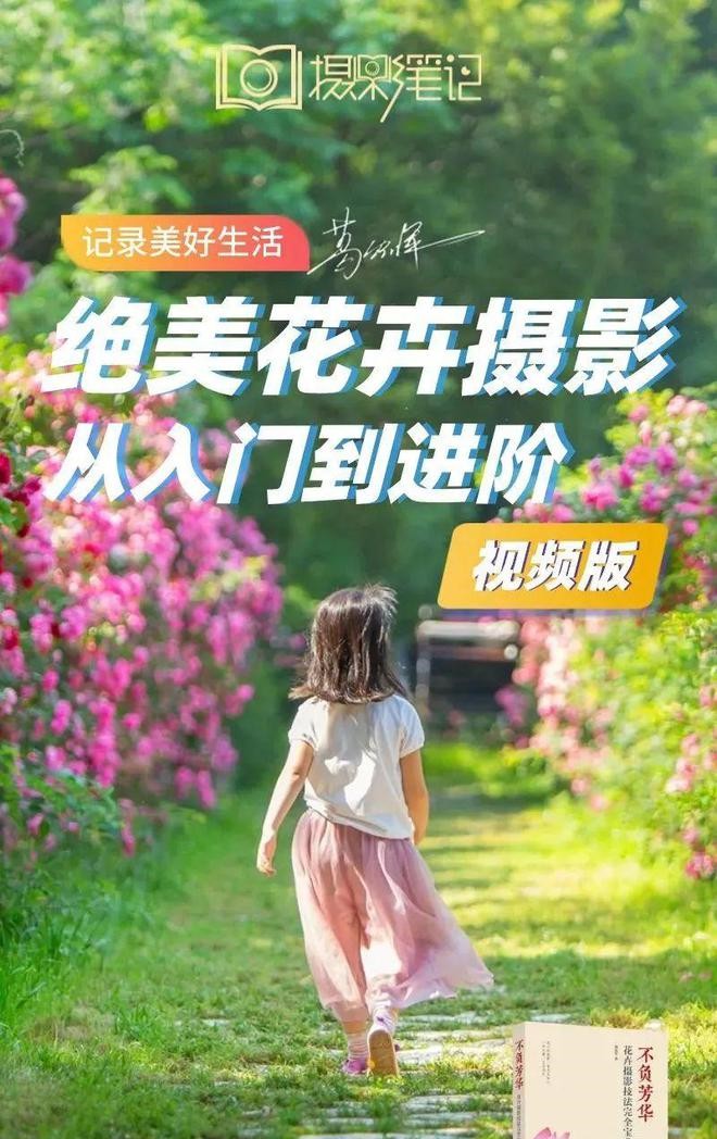 不负芳华，花卉摄影完全宝典后期课程，名师葛宏军亲授 