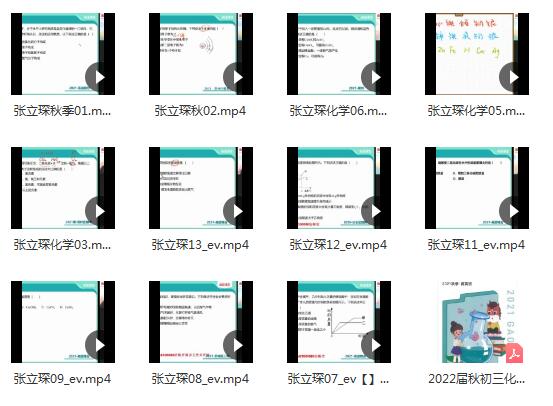 张立琛2022秋季初三化学秋季系统班13讲带讲义