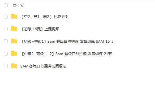 SAM老师发音课+动词语法：全网最全版本超级自然拼读