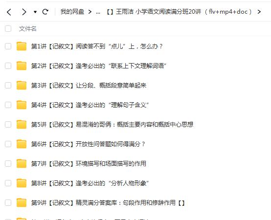 王雨洁小学语文阅读满分班20讲（flv+mp4+doc）
