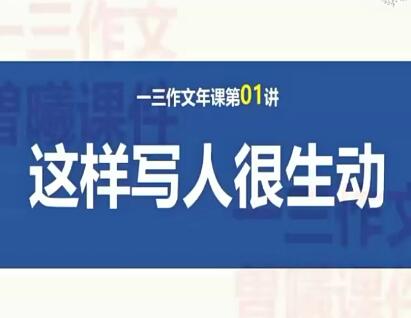 2019年曾曦小学语文作文全年班