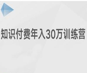 知识付费年收入30万训练营大揭秘