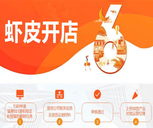 跨境电商Shopee（虾皮）基础运营实操课程