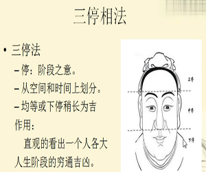 相术入门：零基础手相面相自学视频解析