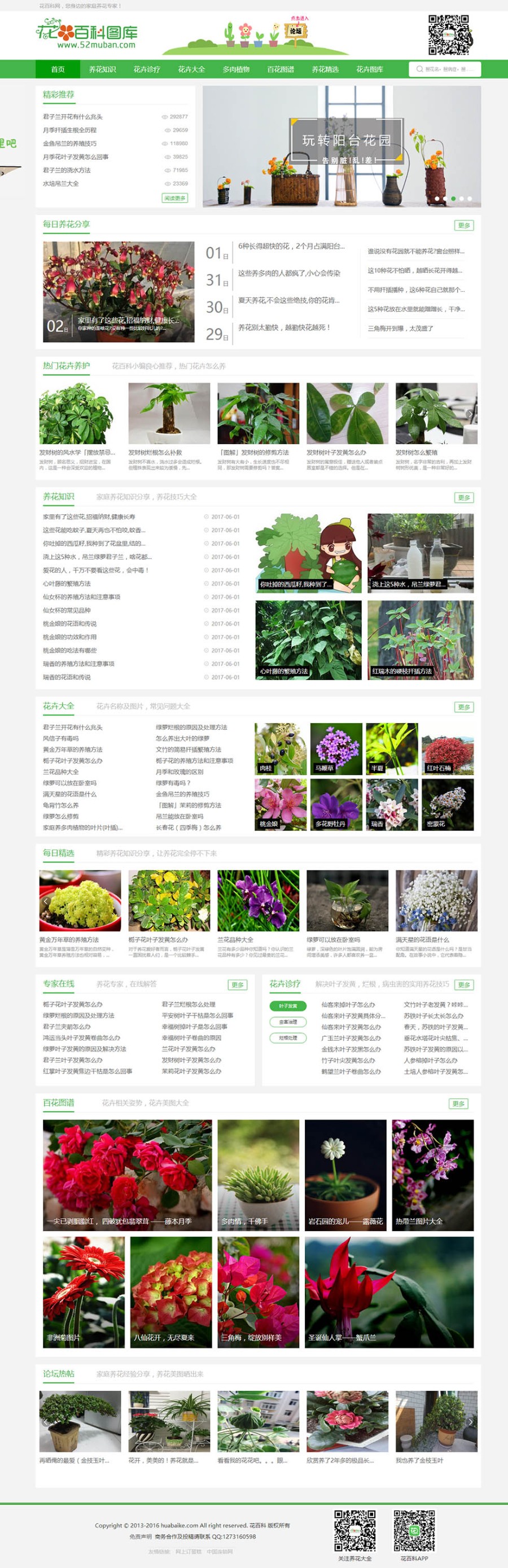 新闻帝国CMS源代码模板模仿《花百科》专业花卉站花卉信息