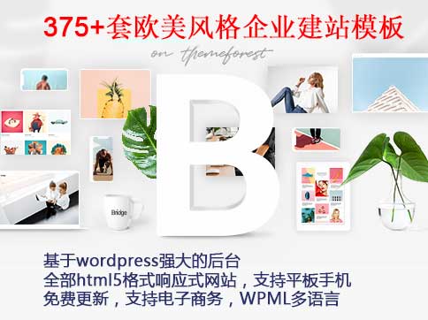 376wordpress模板bridge主题 汉化自适应