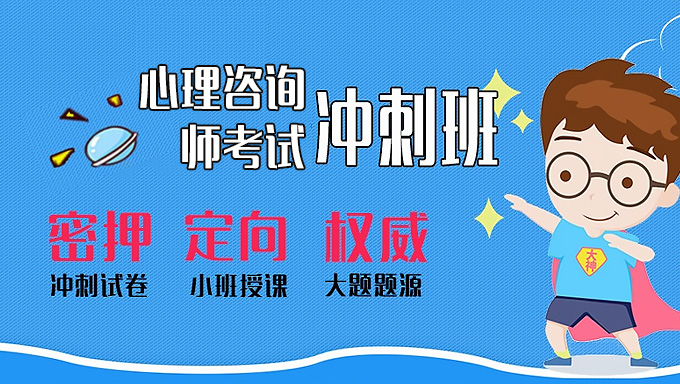 2016年心理咨询师三级《专业技能》精讲、串讲视频课件