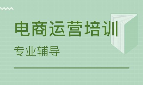 电商平台爆单 月入5W+的秘密：4大技巧带你快速选品（8节视频课）