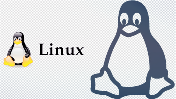 Linux渐学渐进系列课程