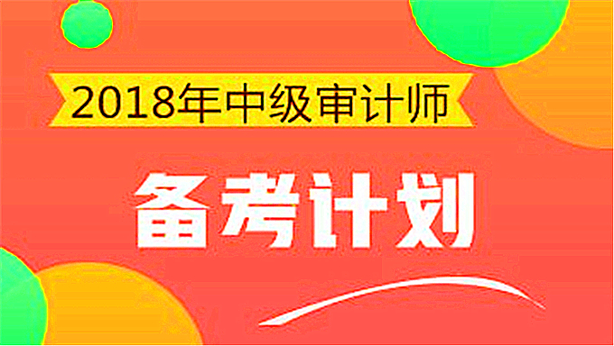 2014年审计师《理论与实务》三套模拟试卷