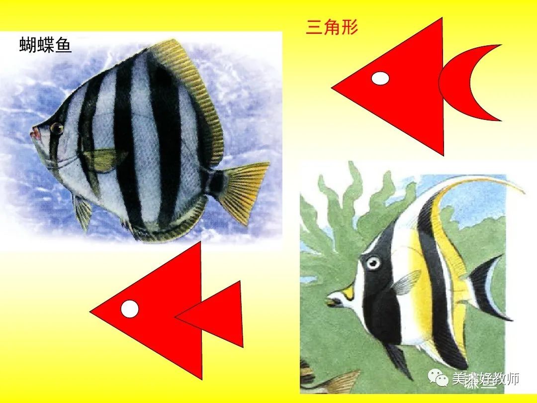 热带小鱼简笔画画法图片步骤💛巧艺网
