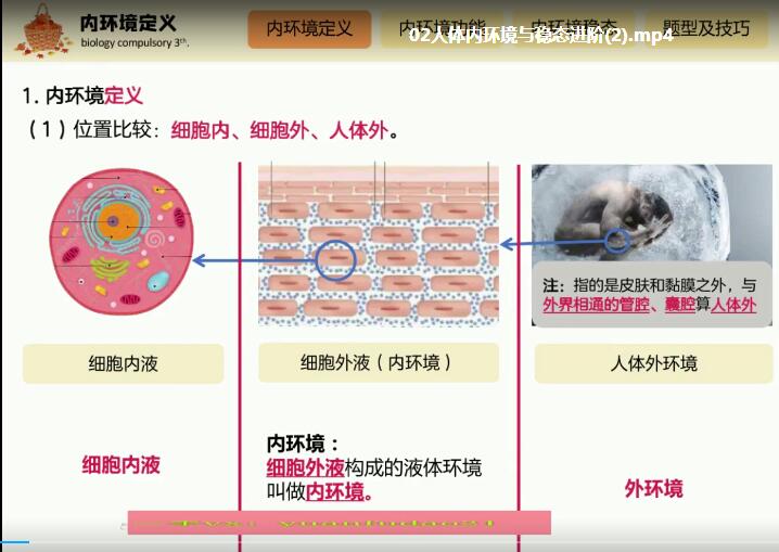 赵静娴2020高二生物秋季985班全套视频课程百度网盘